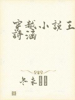 穿越小说王渊李诗涵