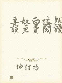 妻奴白依然的小说免费阅读