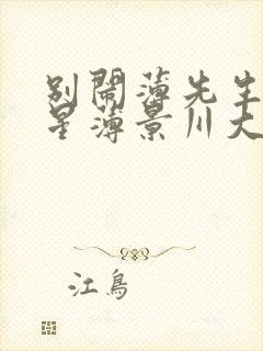 别闹薄先生沈繁星薄景川大全