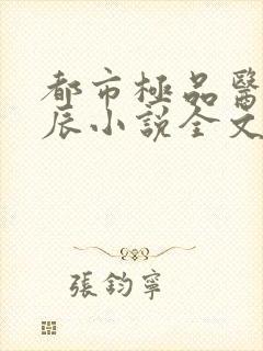 都市极品医神叶辰小说全文阅读