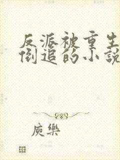 反派被重生女主倒追的小说封面