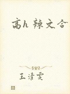 高h 辣文合集