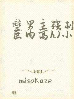 双男主强制爱(巨肉高h)小说