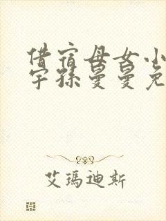 借宿母女小说赵宇孙曼曼免费阅读封面