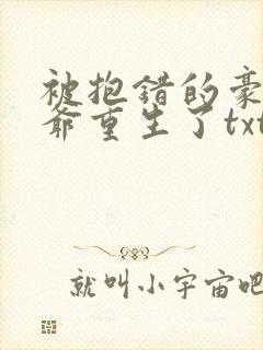 被抱错的豪门少爷重生了txt