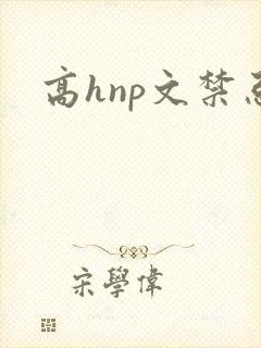 高hnp文禁忌