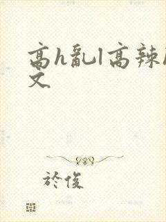 高h乱l高辣h文