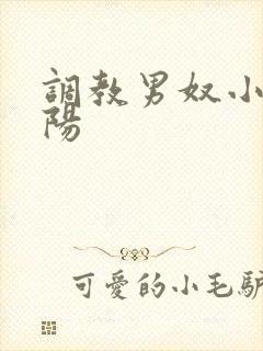 调教男奴小说虐阳