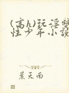 (高h)玩淫双性少年小说