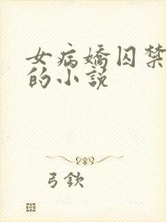 女病娇囚禁男主的小说