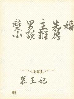 双男主先婚后爱小说推荐封面