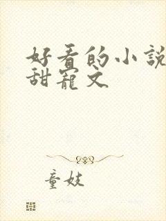 好看的小说短篇甜宠文