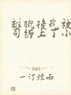 离职后我被前上司缠上了小说在线阅读