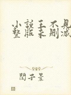 小说王不见王完整版未删减小说