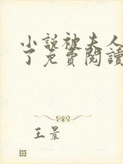 小说被夫人骗心了免费阅读封面