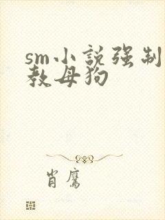 sm小说强制调教母狗