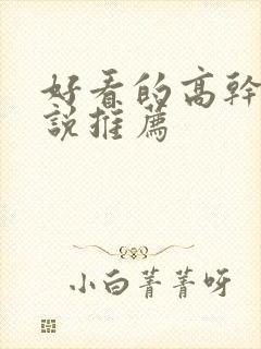 好看的高干文小说推荐封面