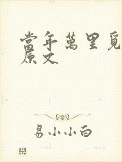 当年万里觅封侯原文封面