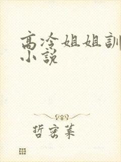 高冷姐姐训诫文小说