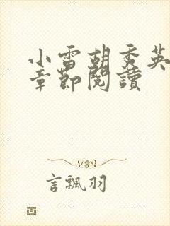 小雷胡秀英全部章节阅读