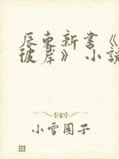 辰东新书《深空彼岸》 小说怎么样