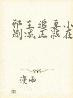 邪王追妻小说无删减正版在线阅读