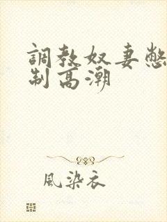 调教奴妻憋尿强制高潮