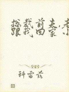 总裁前夫,老婆跟我回家 小说