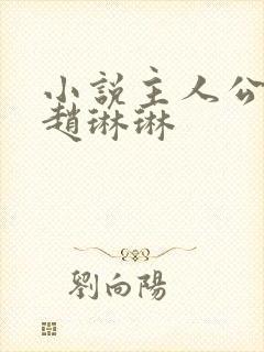 小说主人公陈凡赵琳琳