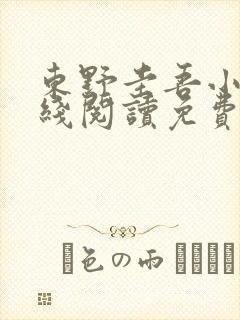 东野圭吾小说在线阅读免费