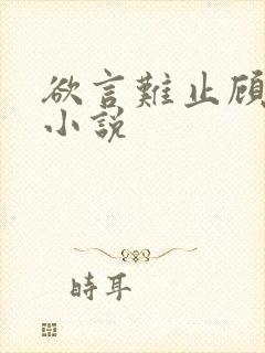 欲言难止顾迟昀小说封面