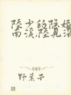 陆少的隐婚罪妻南溪,陆见深