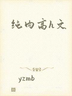 纯肉高h文