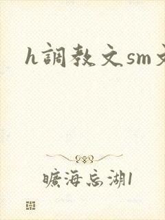 h调教文sm文