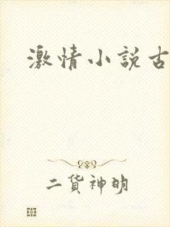 激情小说古言