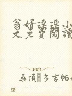 翁婿瑶瑶小说全文免费阅读最新章节封面