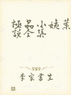 极品小姨叶凡小说全集