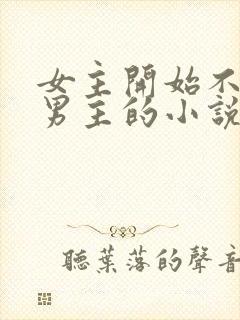 女主开始不喜欢男主的小说