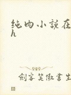 纯肉小说在线高h