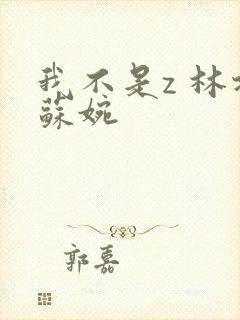 我不是z 林北苏婉封面