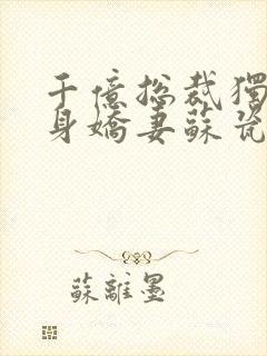 千亿总裁独宠替身娇妻苏瓷傅南城