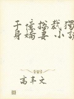 千亿总裁独宠替身娇妻 小说完整板封面