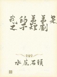 我的弟弟是天选之子短剧