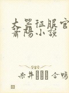 大器征服官场的萧阳小说