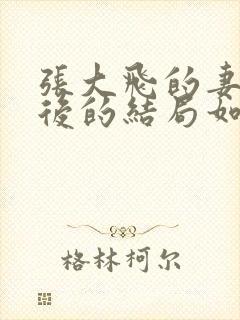 张大飞的妻女最后的结局如何封面