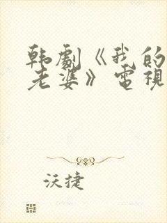 韩剧《我的邻居老婆》电视剧