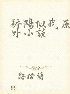 骄阳似我原著番外小说封面