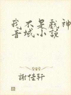 我不是戏神三九音域小说封面