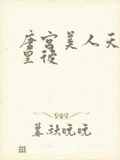 唐宫美人天下王皇后