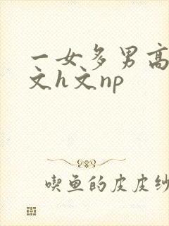 一女多男高辣h文h文np
